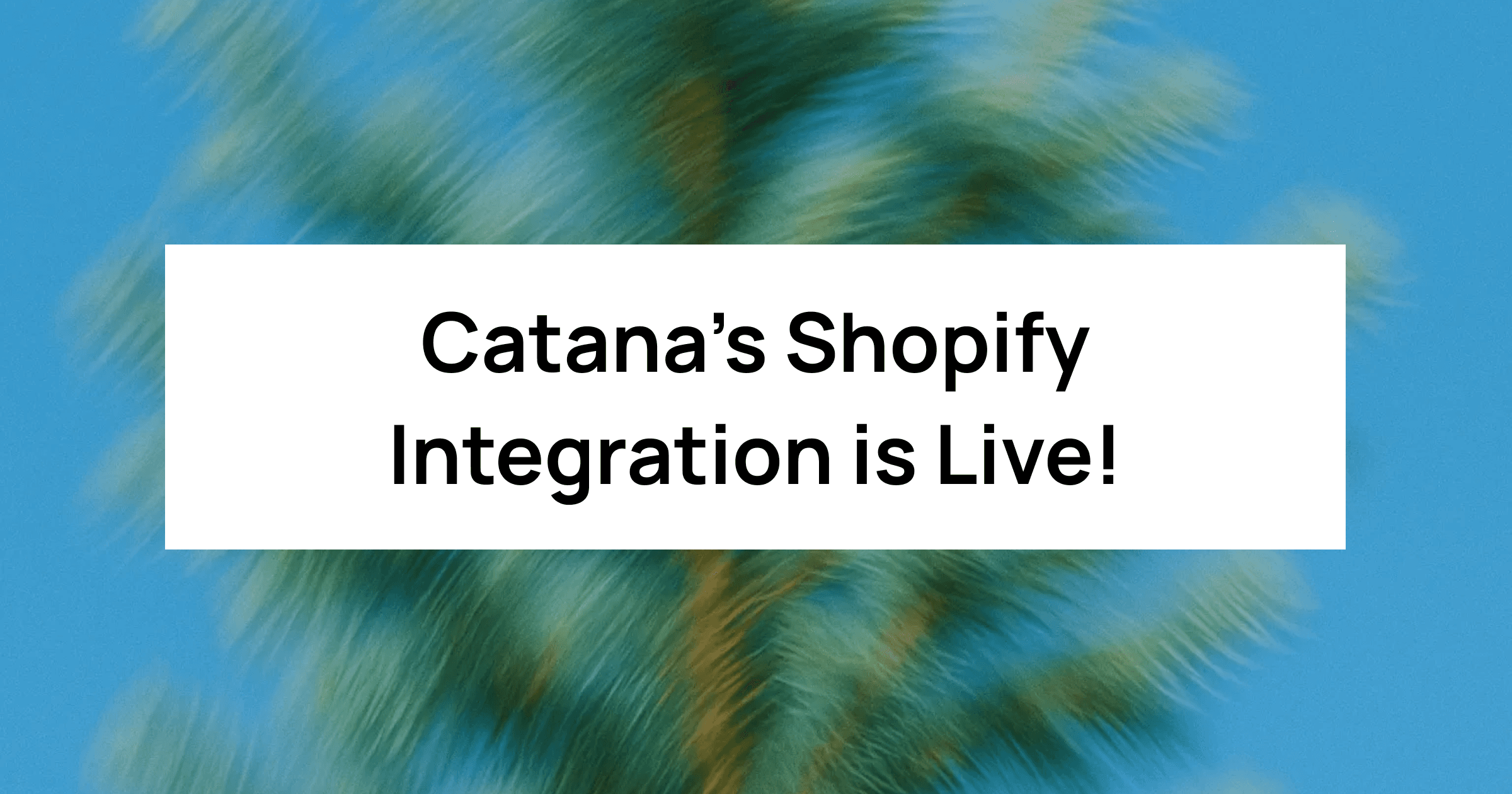 Our Shopify Integration Is Live!